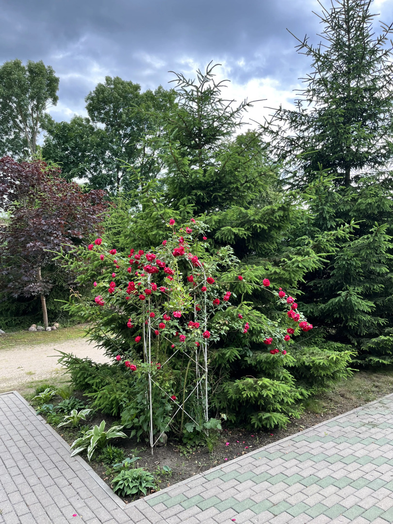 Апартаменты Агроусадьба Беловежская Гостевая