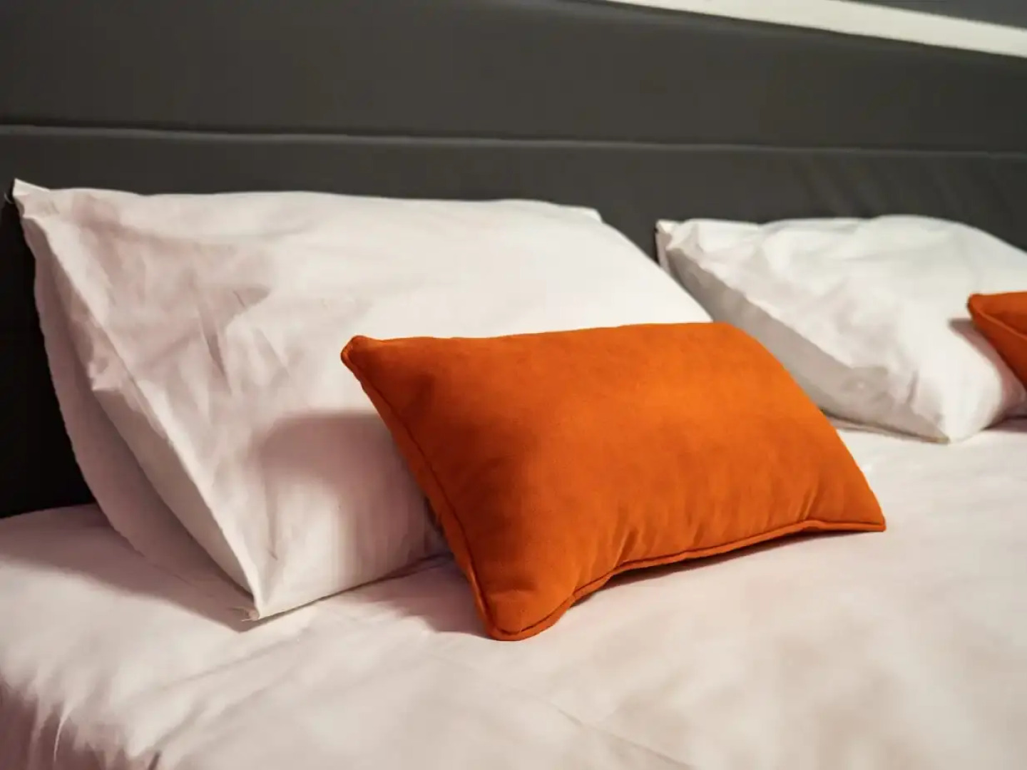 Гостиница Юпитер