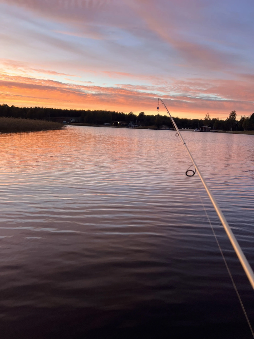 Частный дом Слобода 68