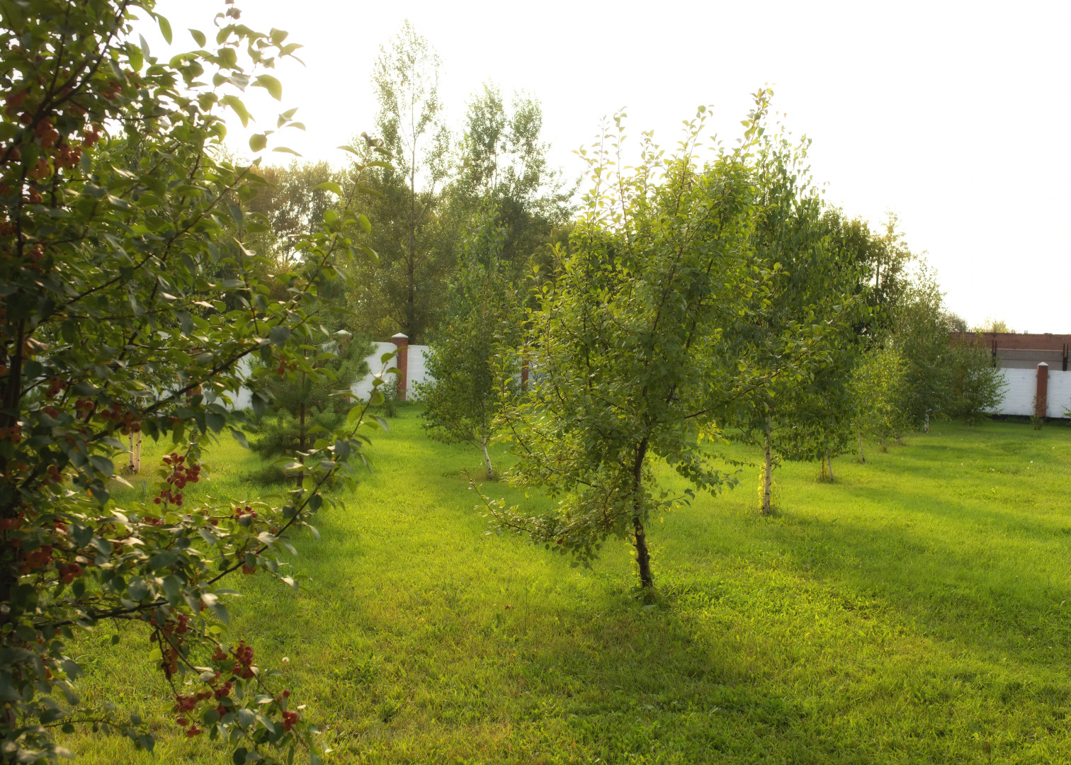 Мини-отель Парк-отель Алмаз