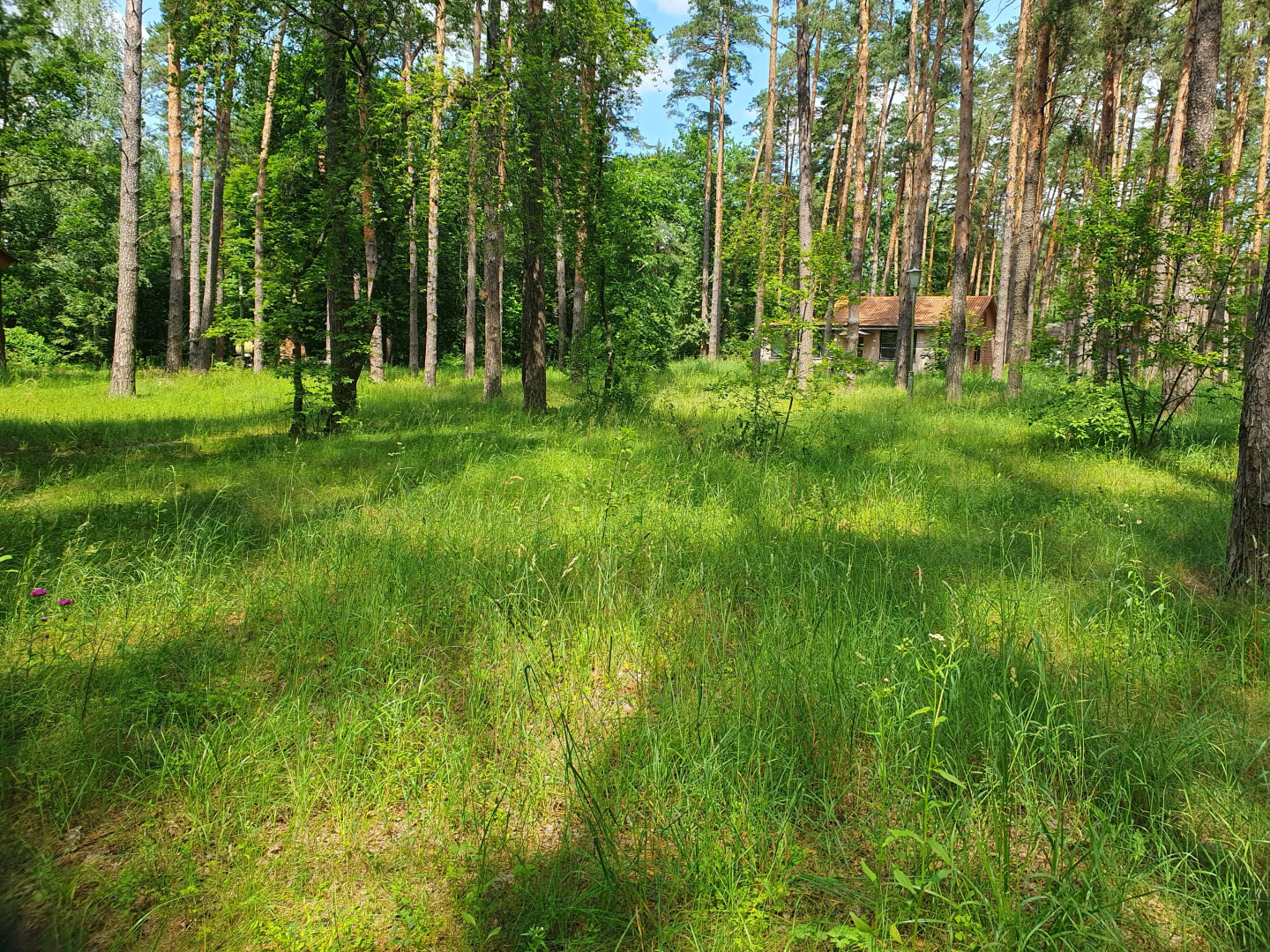 База отдыха Зеленый луг