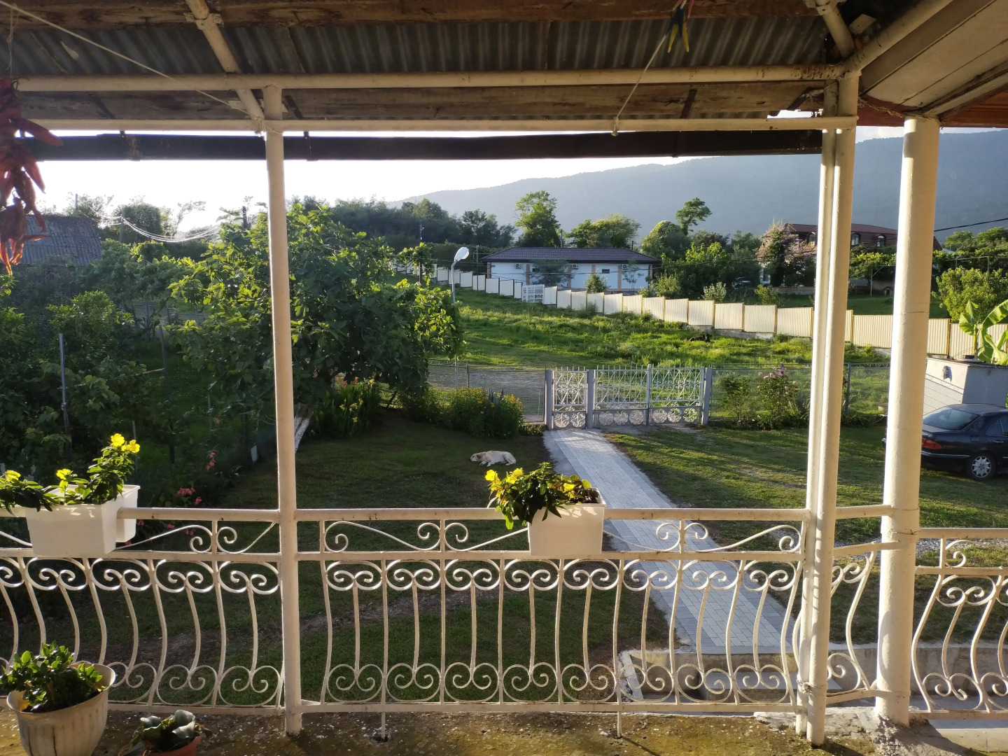 Гостевой дом Цитрус 21