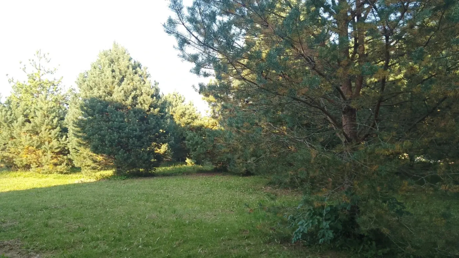 Частный дом Хитрый Лис