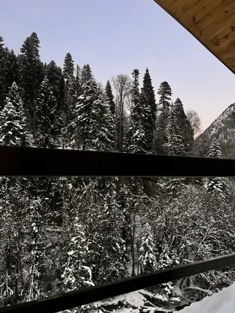 Шале Forest glamp