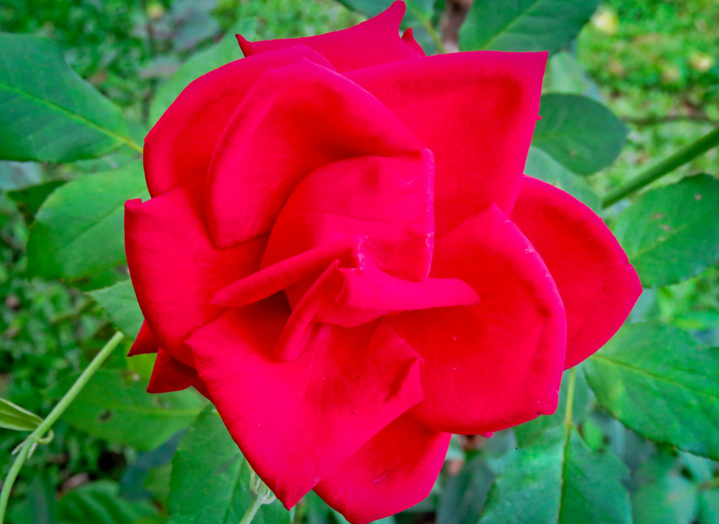 Отель Waasala Leisure