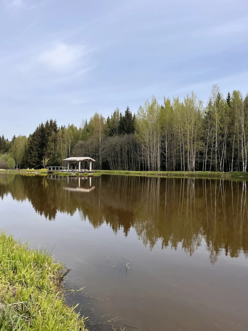 Частный дом в стиле Этно Фермерские Дачи
