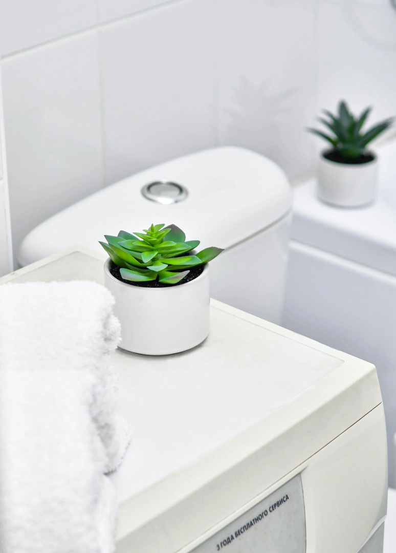 Квартира 1 к Чарли Чаплин