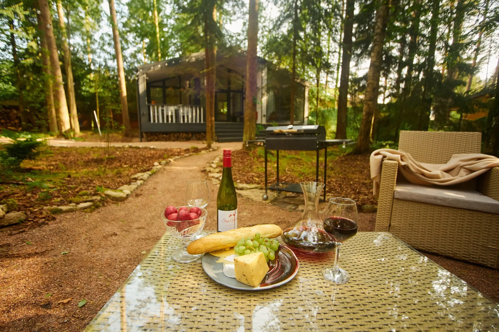 Частный дом Репинская дача на опушке красивого леса