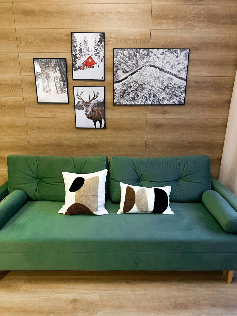 Квартира Олимпийская 75