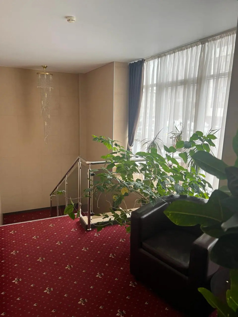 Отель City Hotel