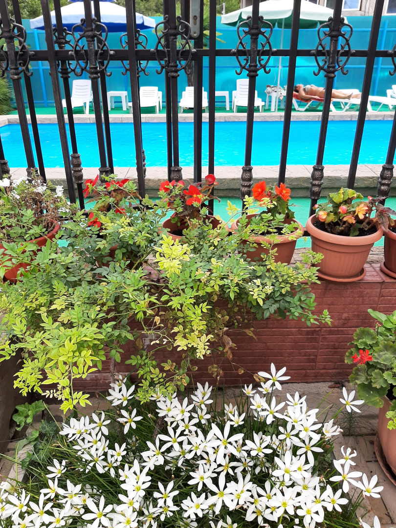 Гостевой дом Лили