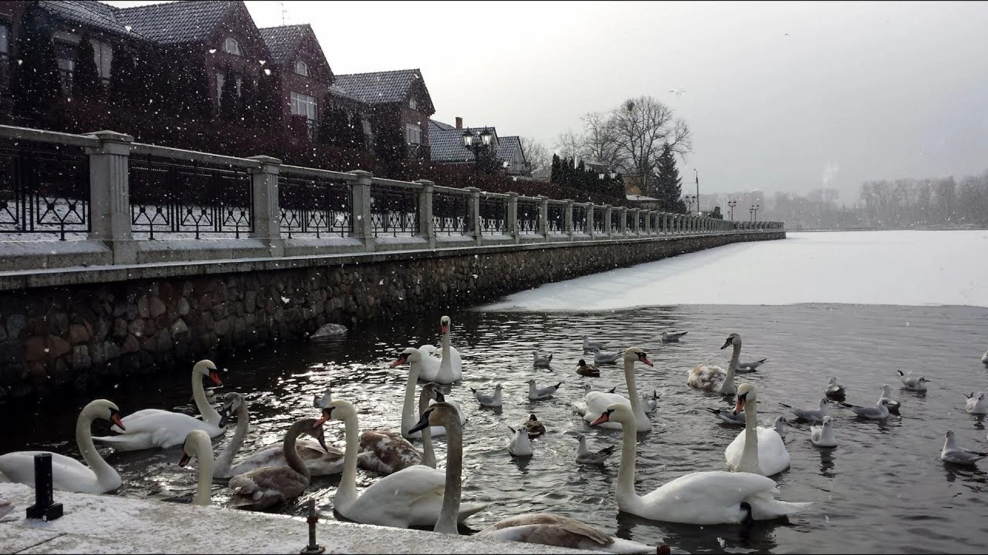 Апартаменты на улице Некрасова 3