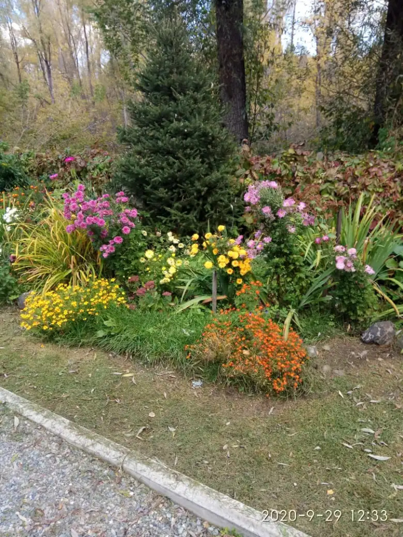 База Отдыха Колибри