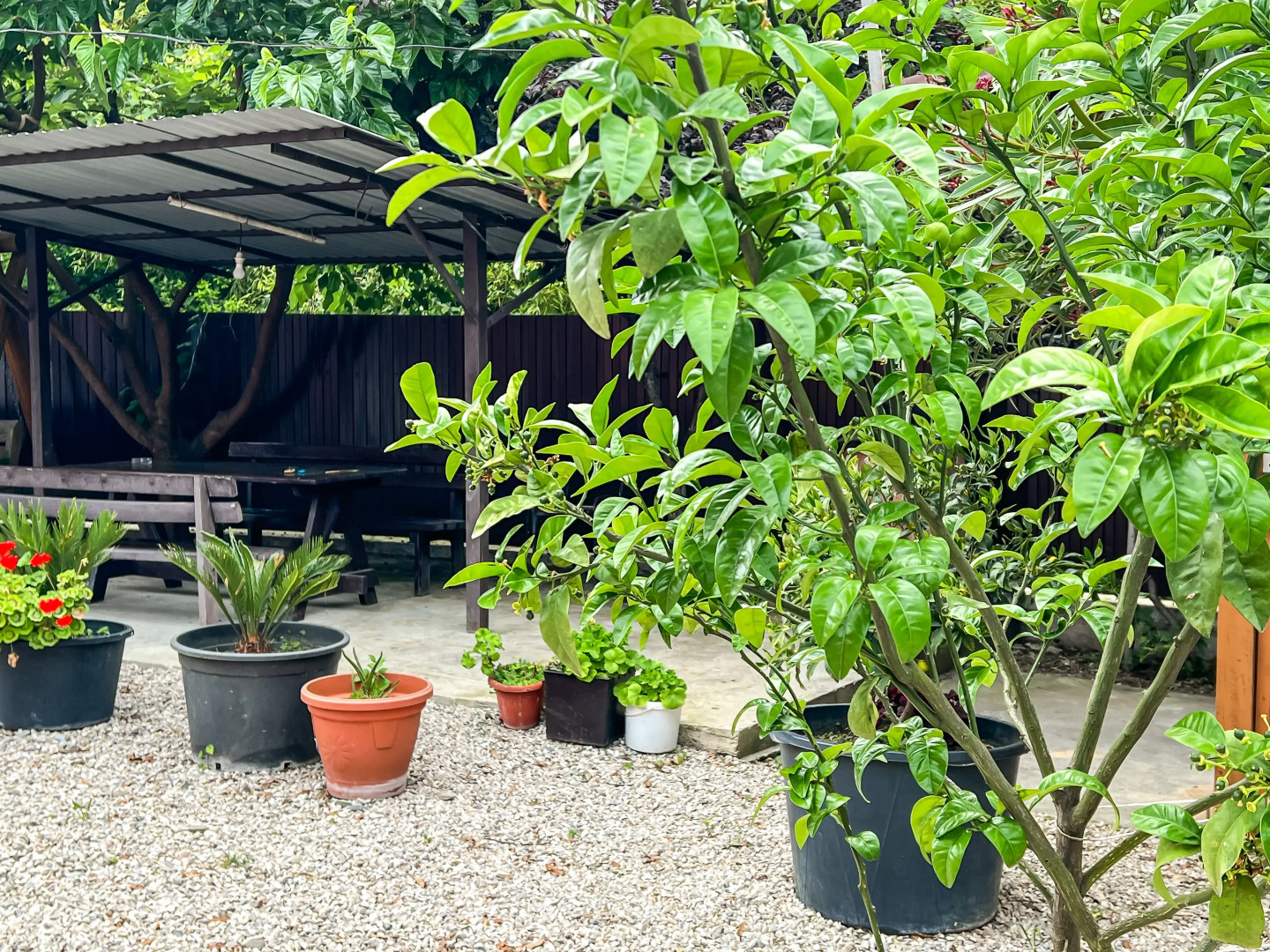 Гостевой дом Розовый Фламинго