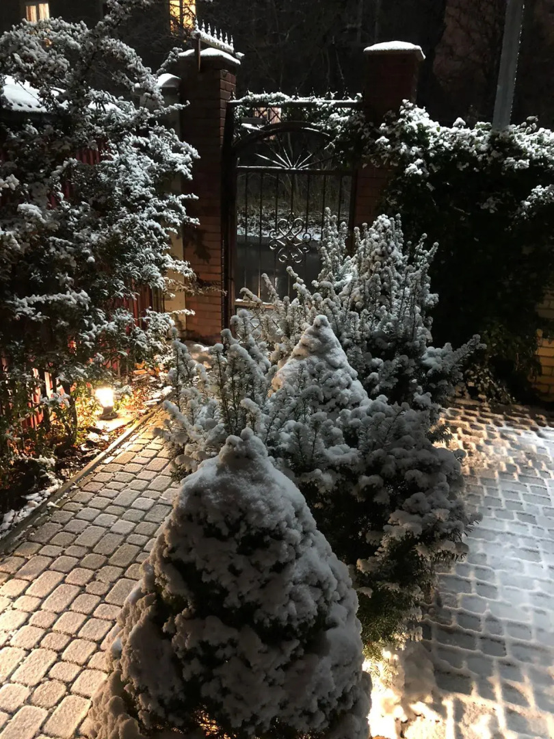 Гостевой дом Salve