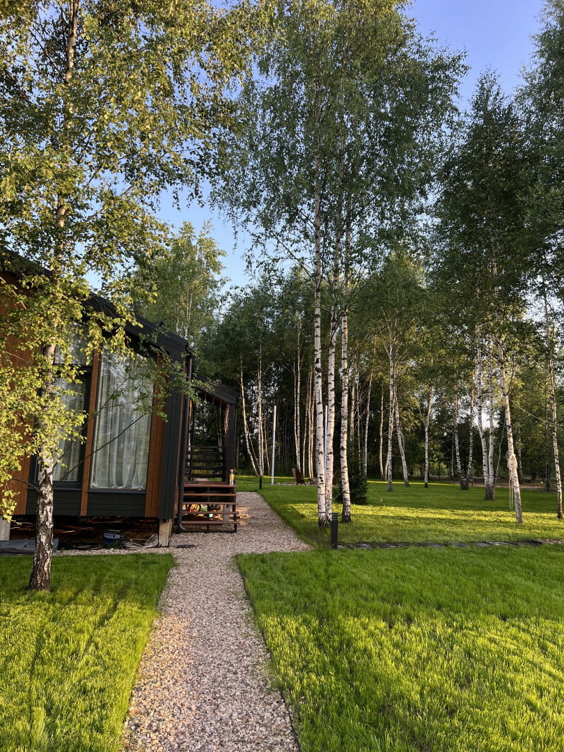 Частный дом в березах