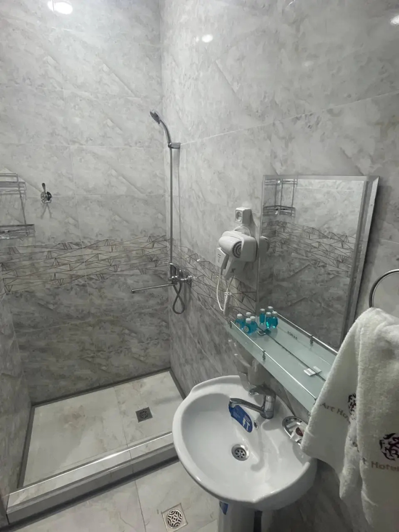 Отель The Art Hotel