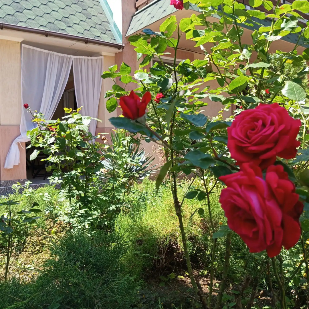 Гостевой дом Лето