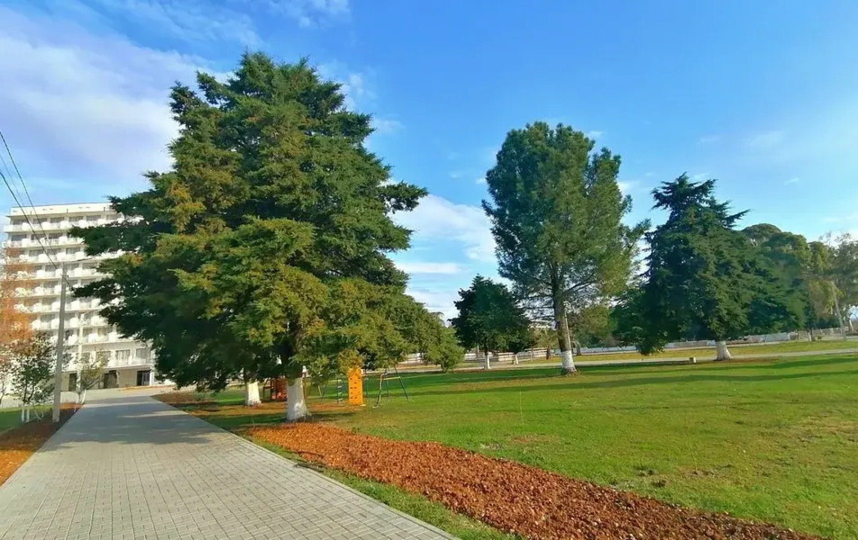 Отель Апсны