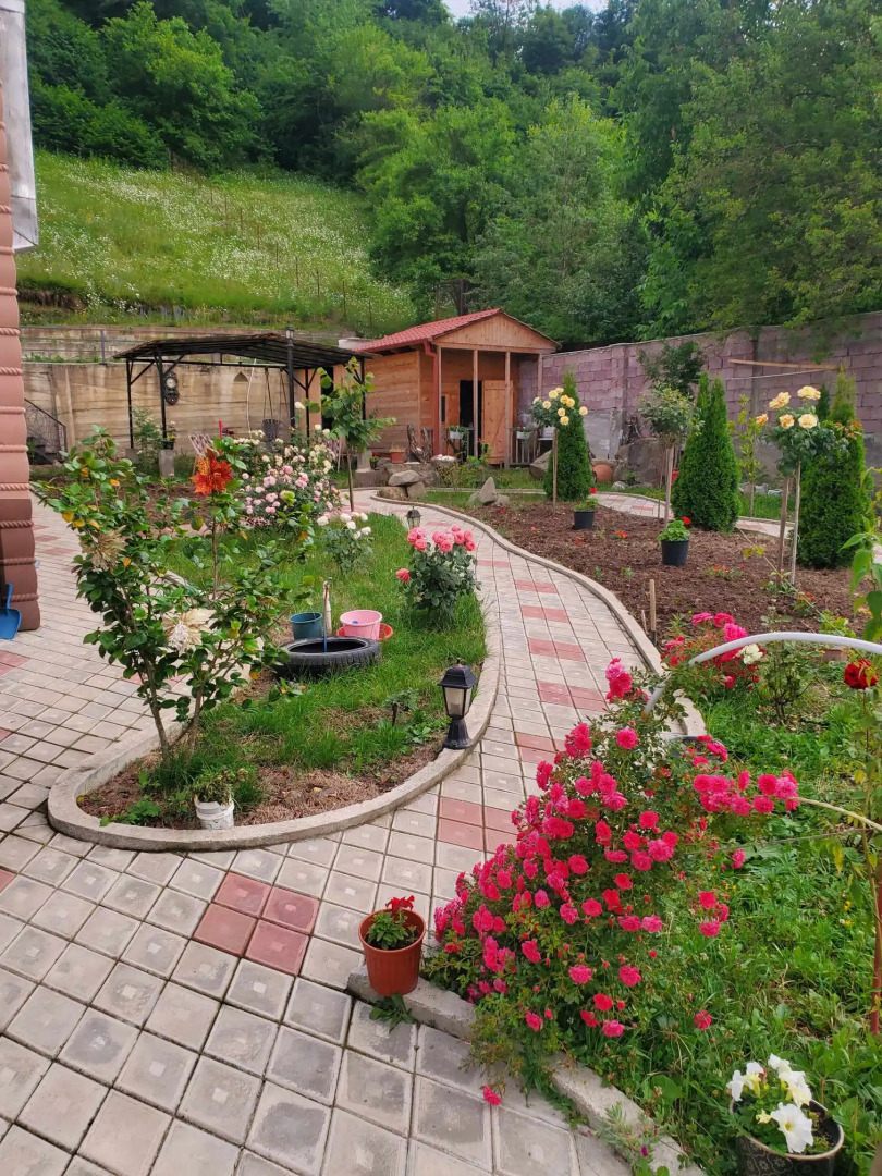 Гостевой дом Диоскурия Боржоми