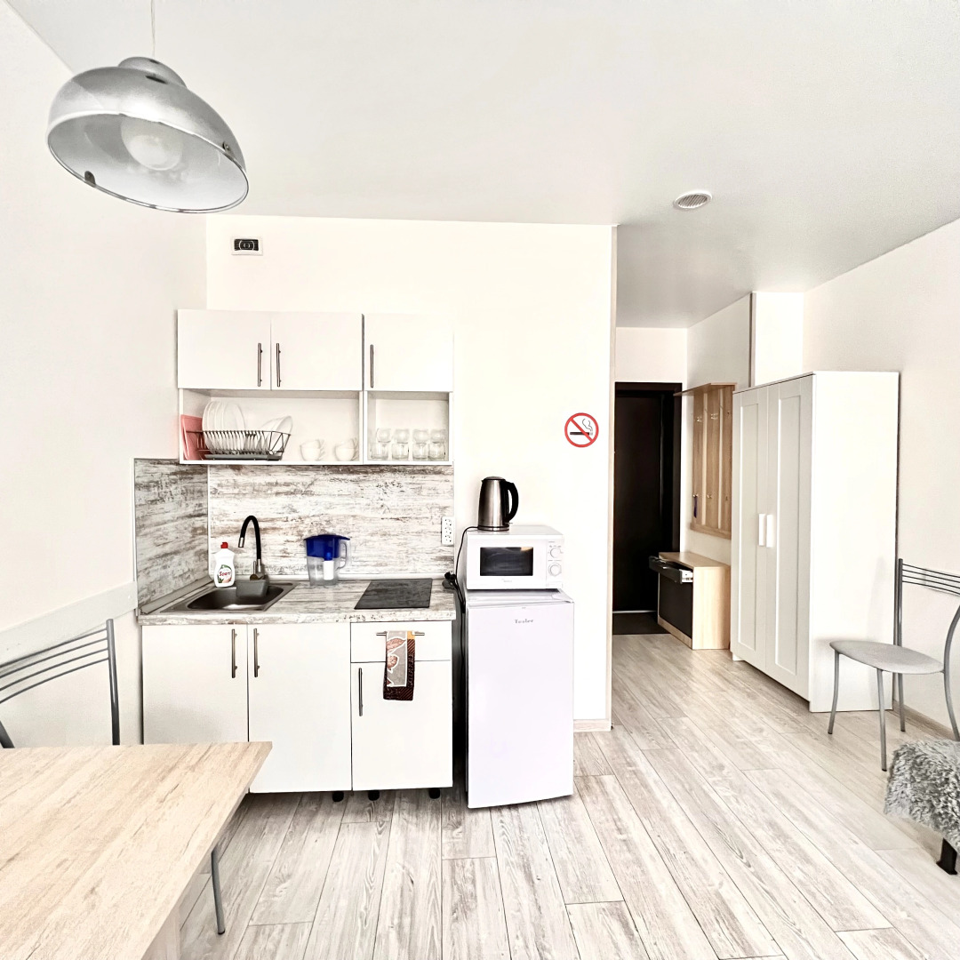 Апартаменты Магия на Ситникова 4/3