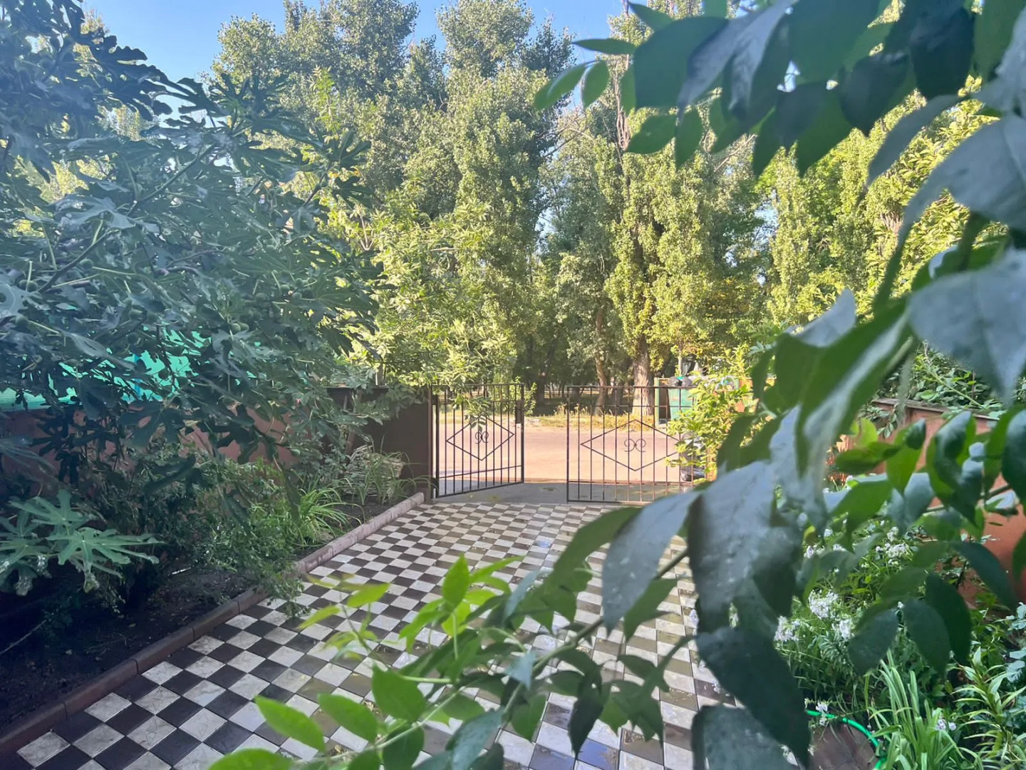 Апартаменты "Эленика" 2-х комнатная Квартира с выходом в парк в Центре города