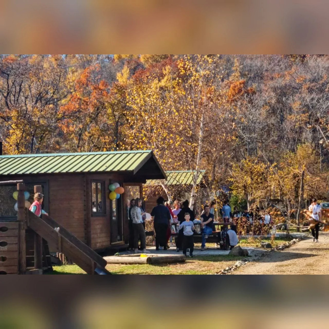 База отдыха парк отдыха Лесное озеро