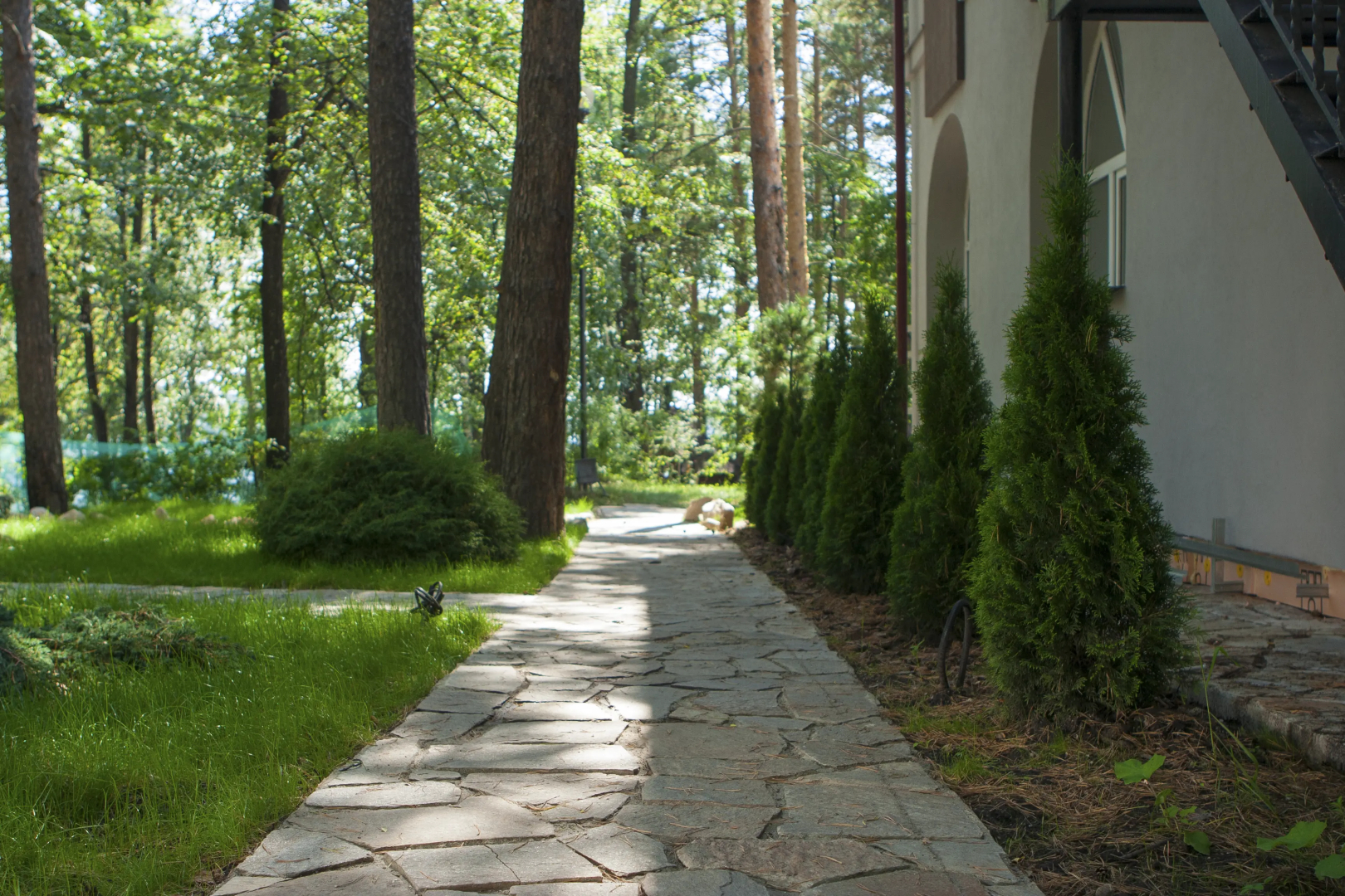 Отель Скандинавский парк-отель Elovoe