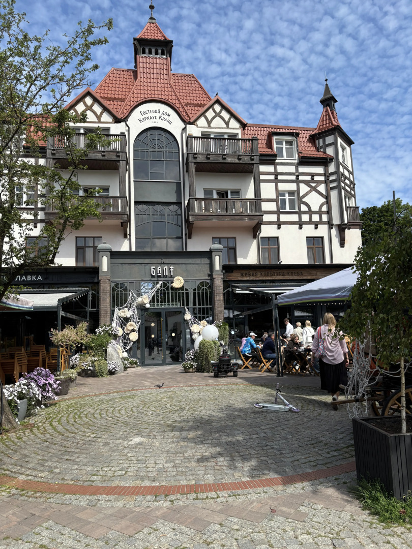 Квартира с видом на лес и пением птиц