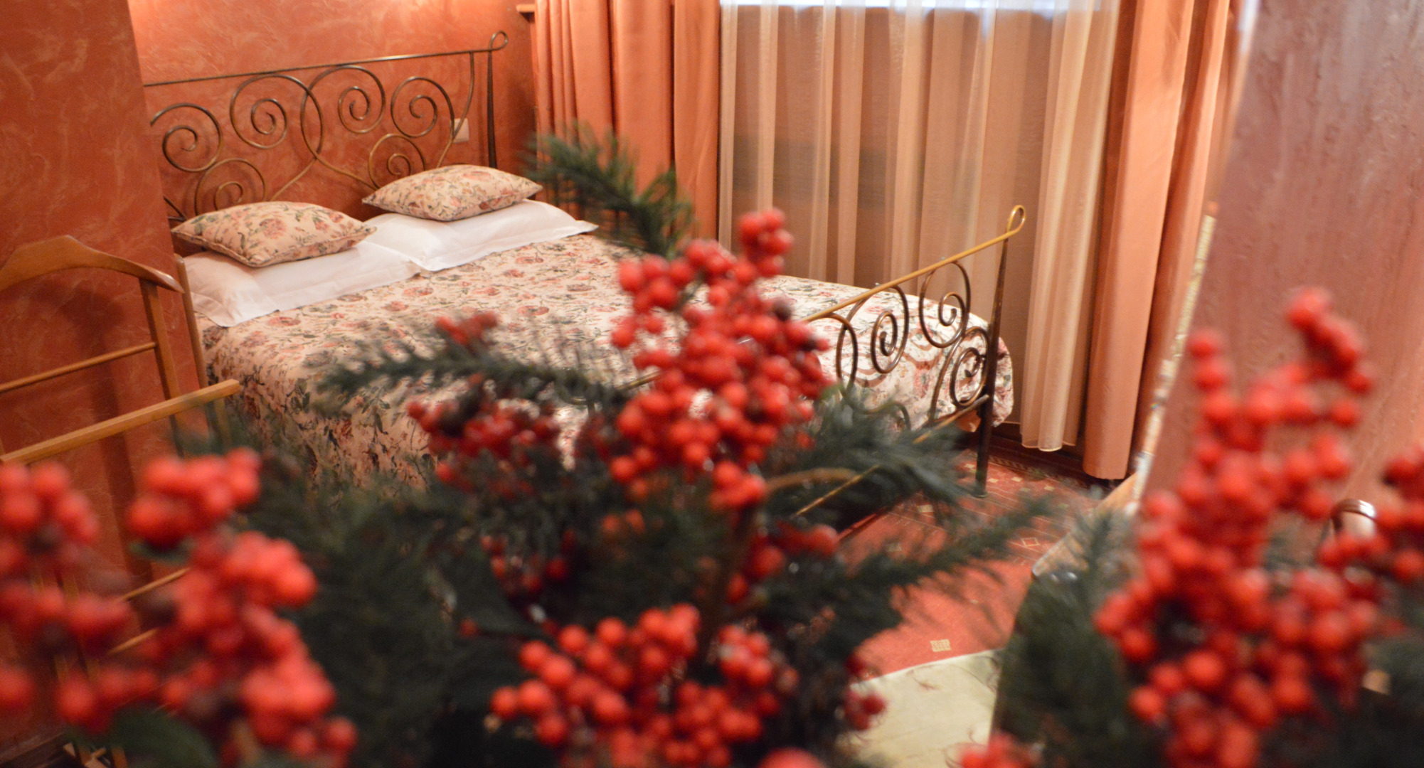 Отель Моника