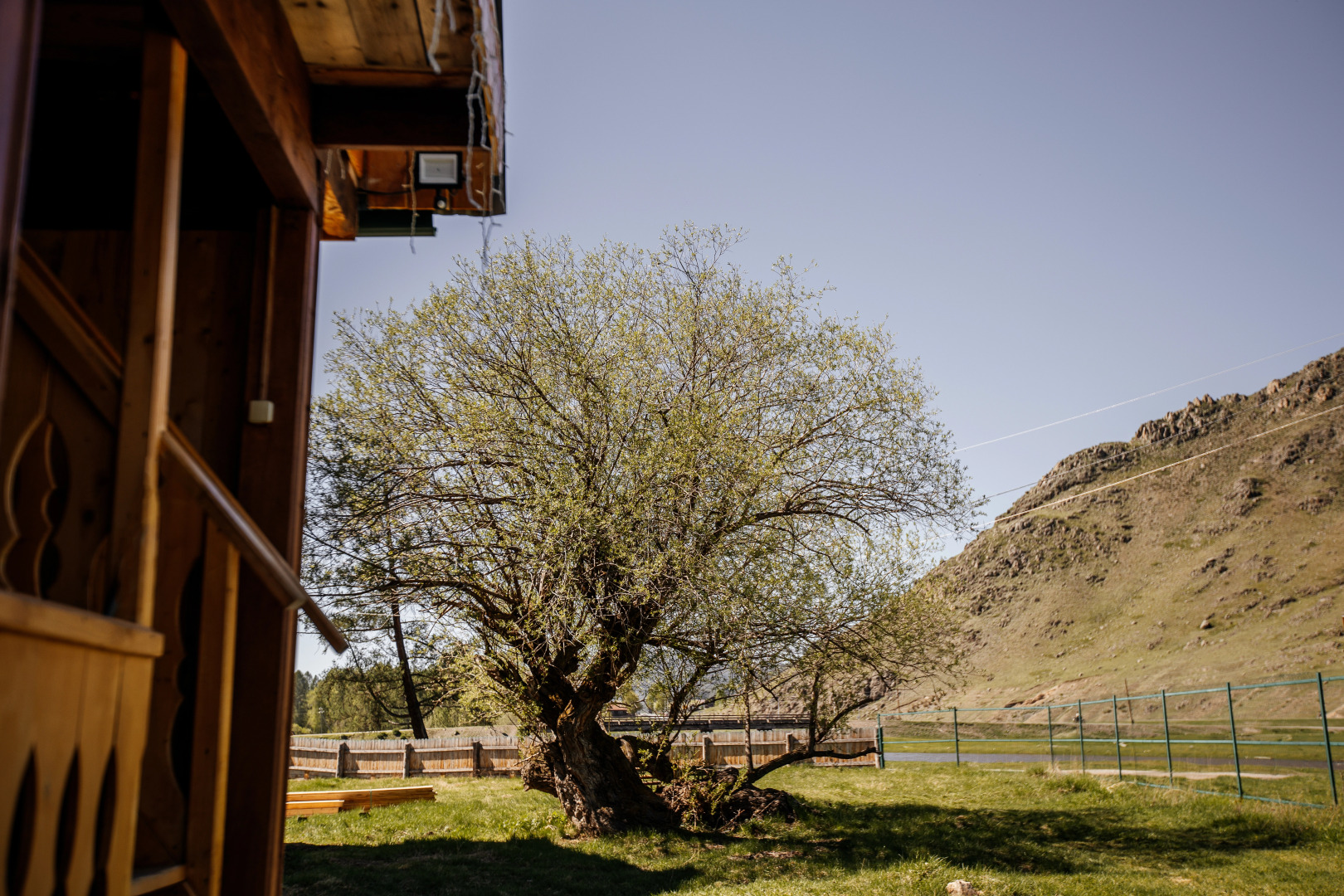 Гостевой дом Алтайские дачи