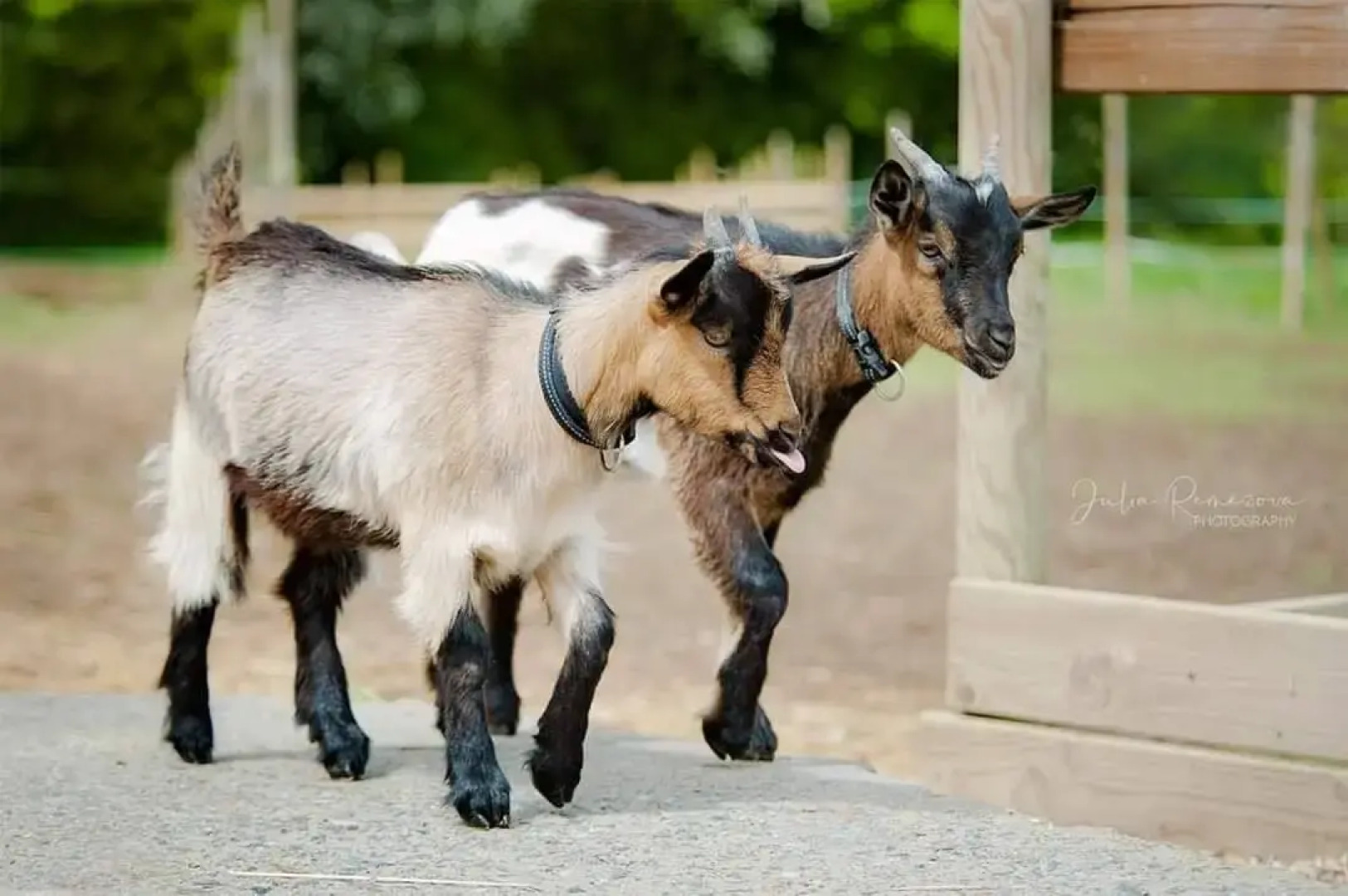 Вилла La Ville Tanet