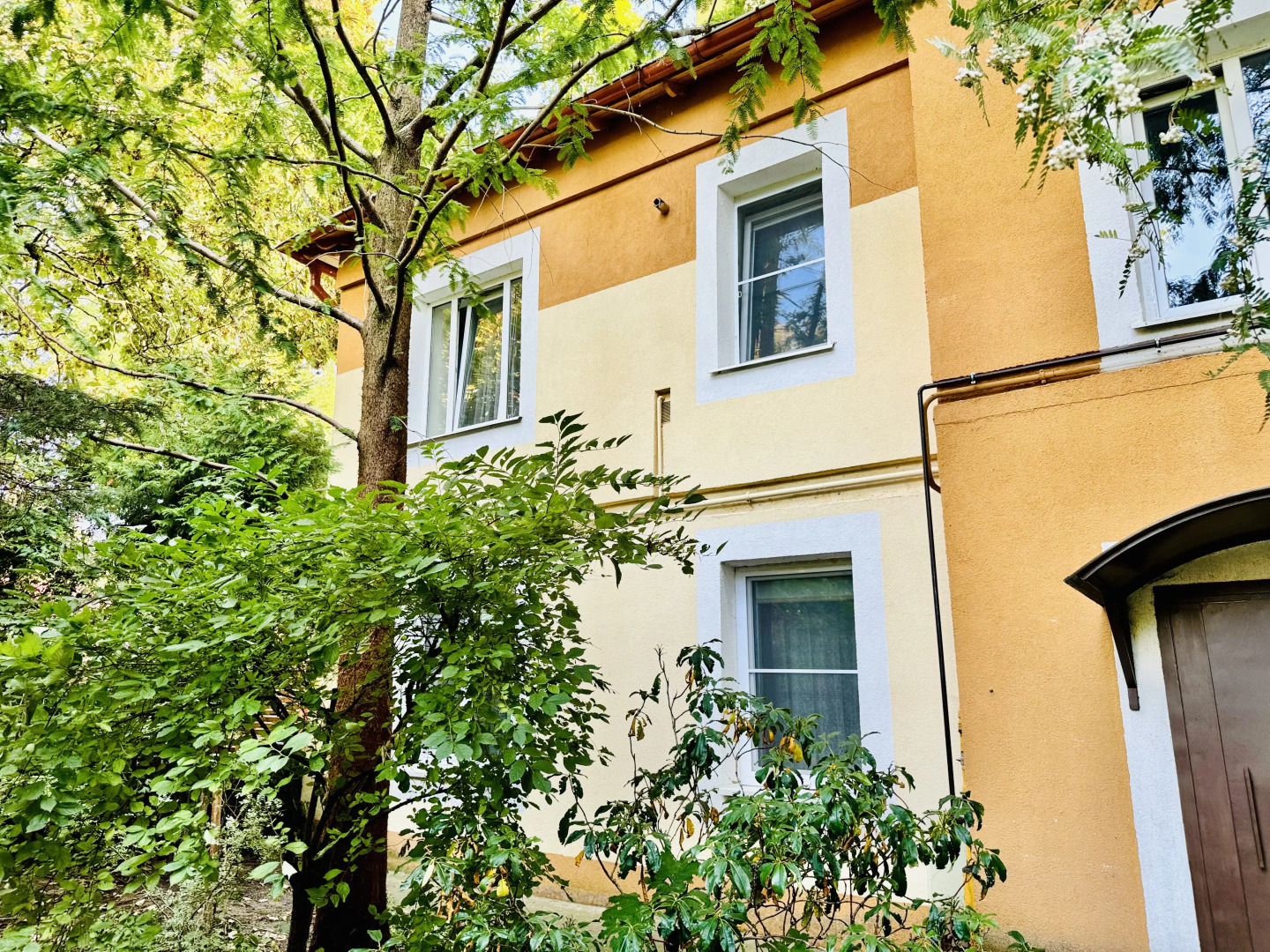 Квартира Мяу