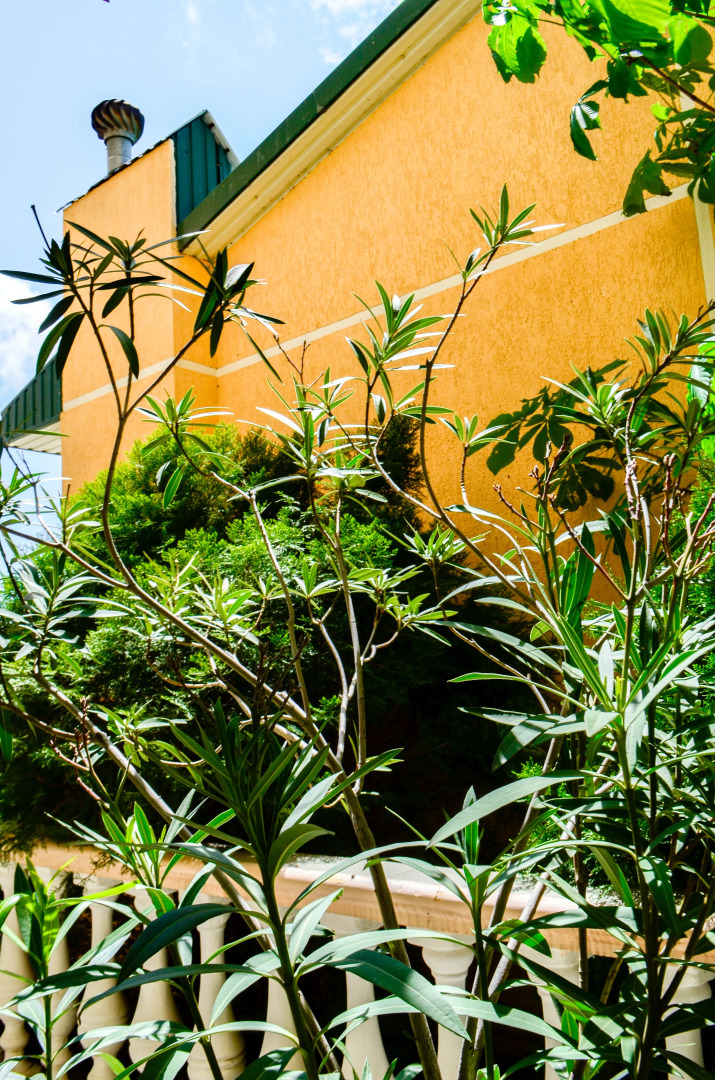 Меблированные комнаты Ной +