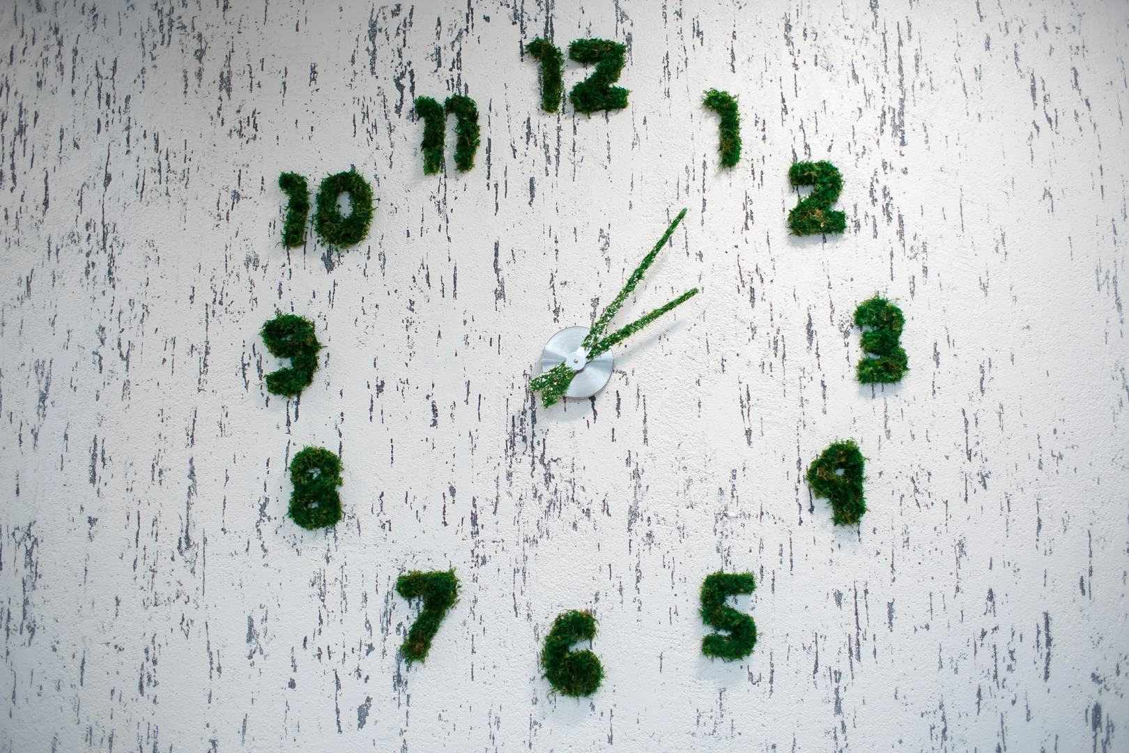 База отдыха Широкая