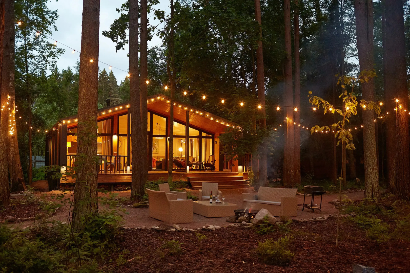 Частный дом Большая Репинская дача в лесу