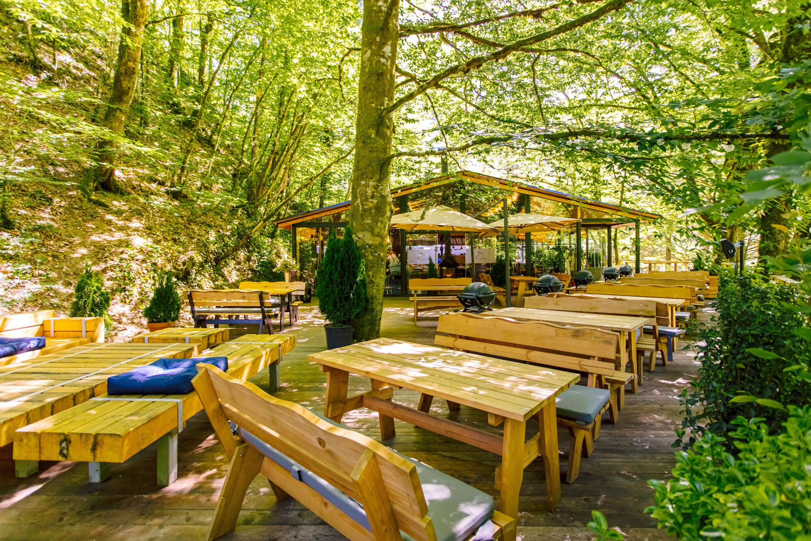 ЛЕС Глэмпинг и SPA