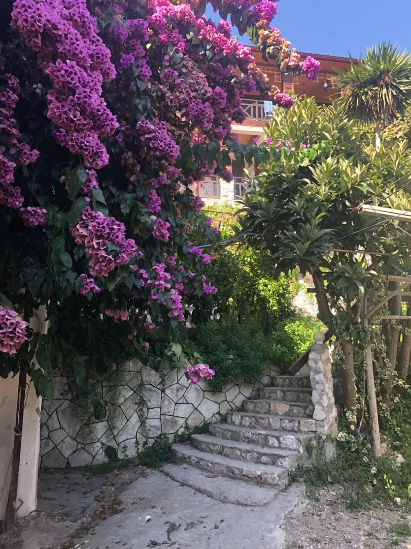 Гостевой Дом El Platano