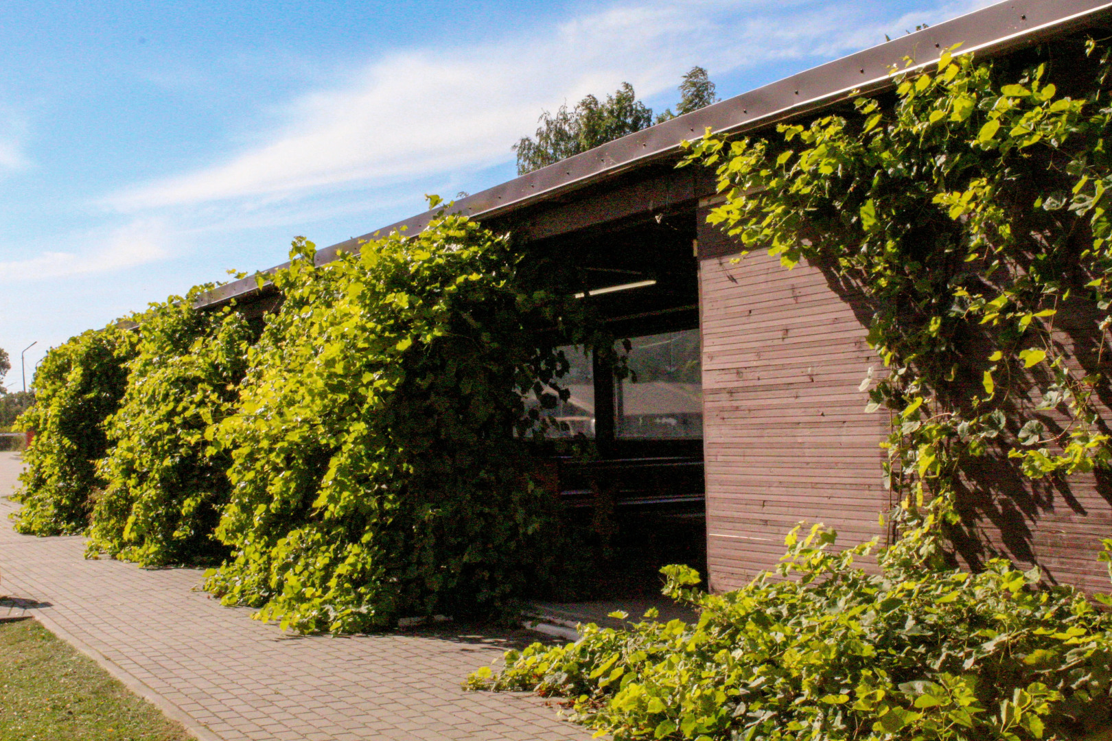 База отдыха Жемчужина