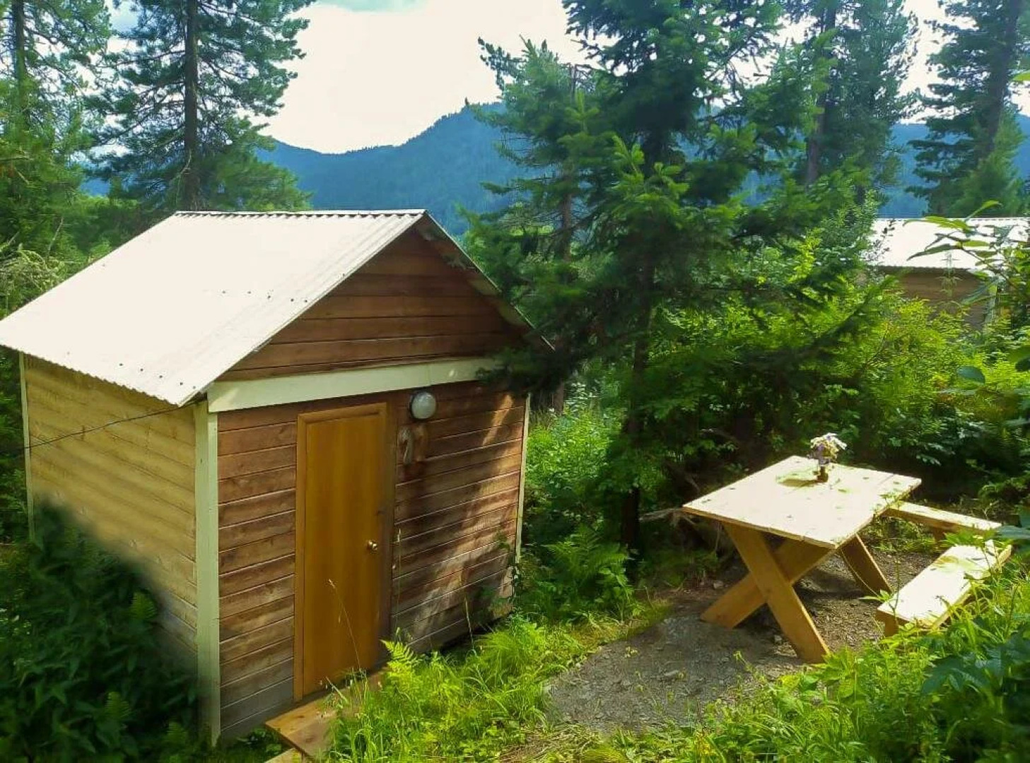 База отдыха Кедровый берег