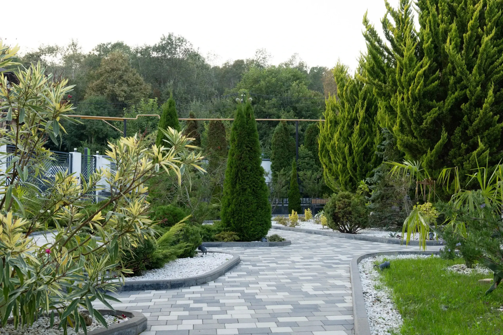 Отель Cosmos Smart Sochi Tivoli