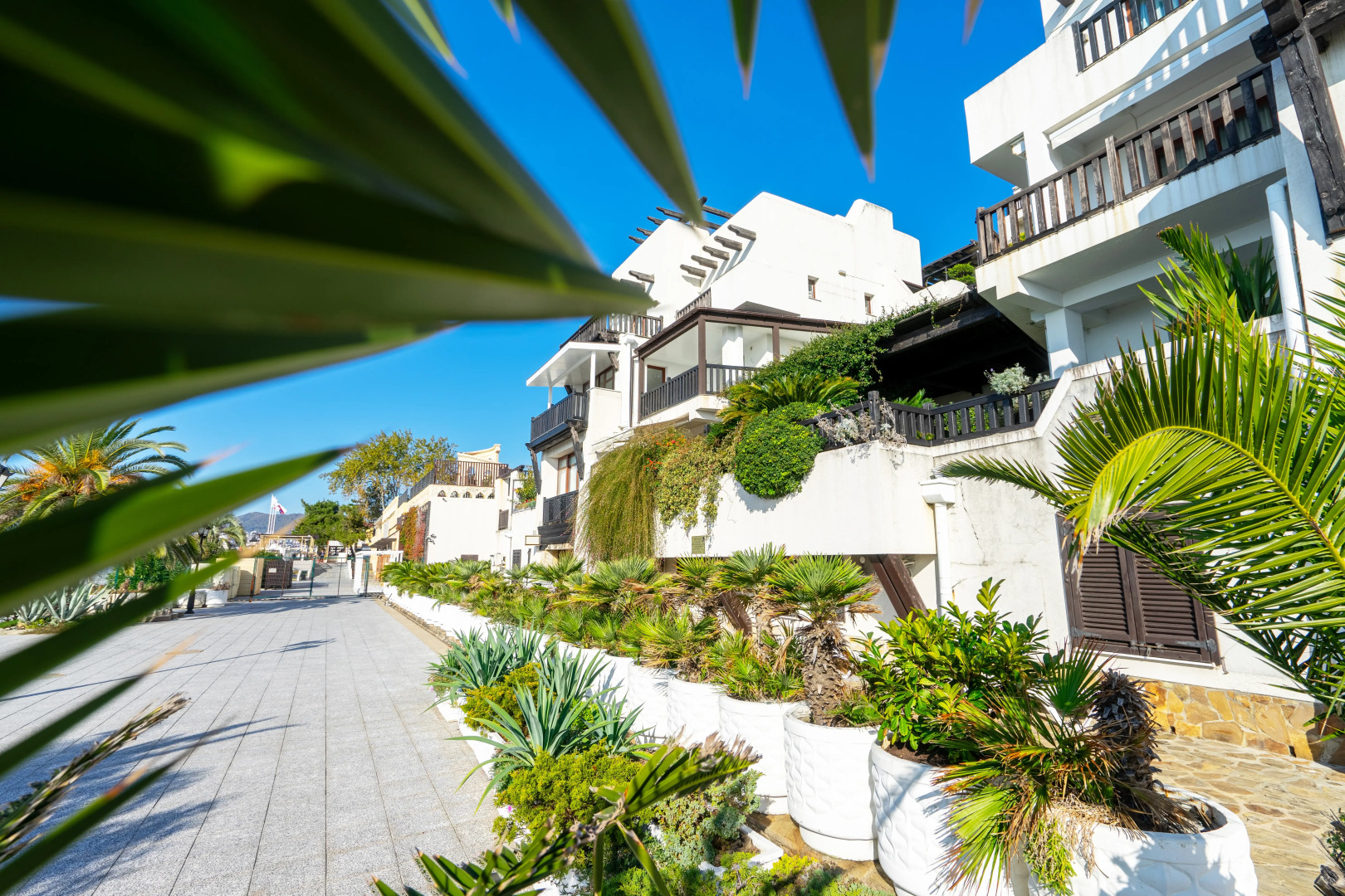 Апартаменты Санторини