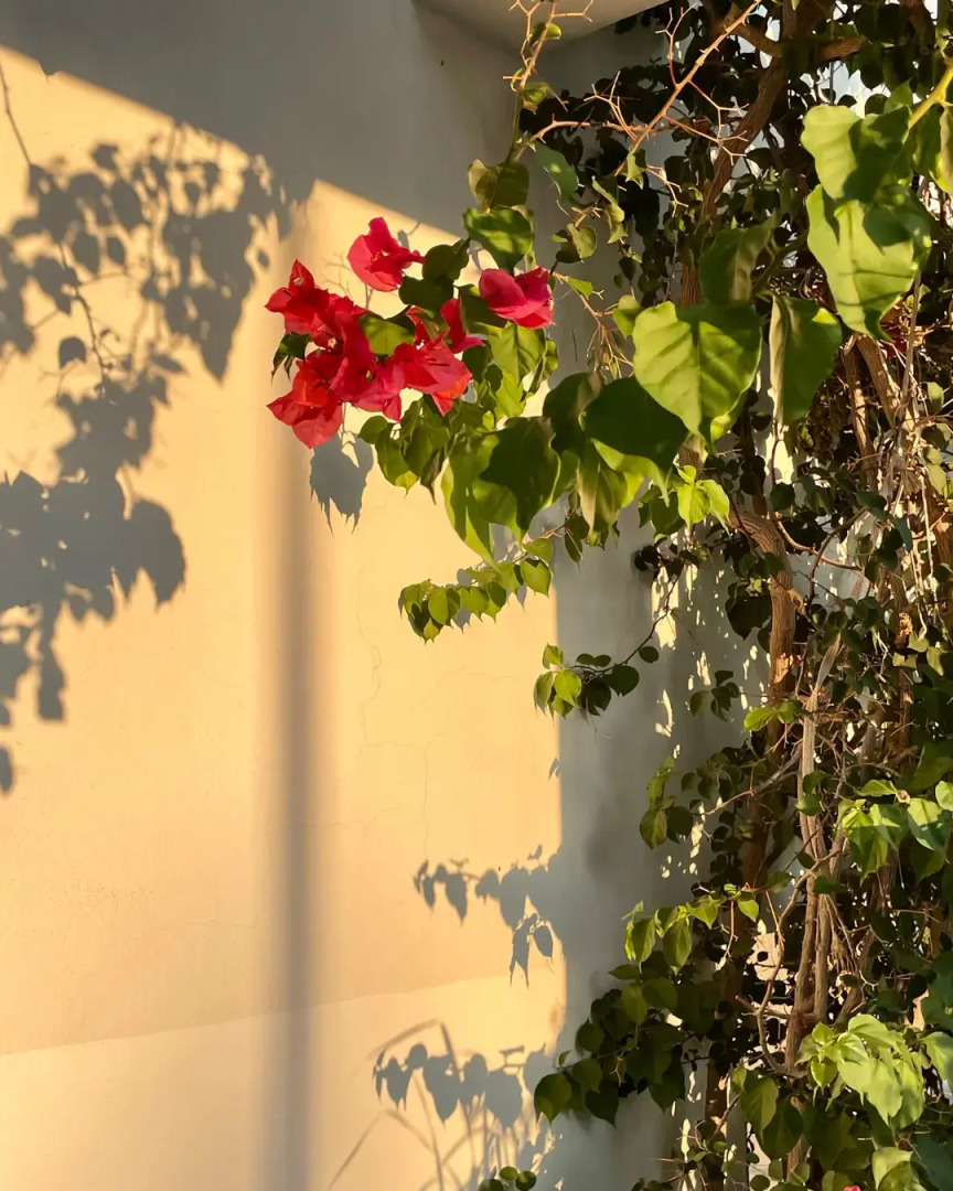 Апарт-отель Rix