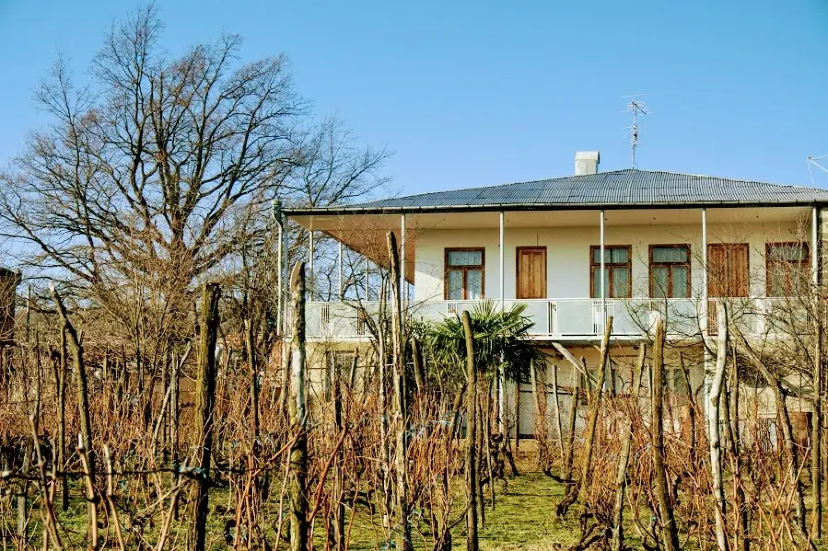 Гостевой Дом Zedafoni