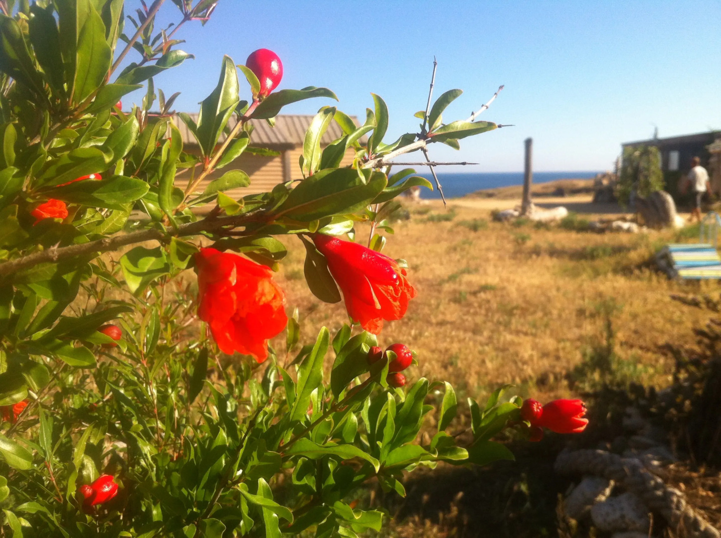 База Отдыха Эко Курорт Морское