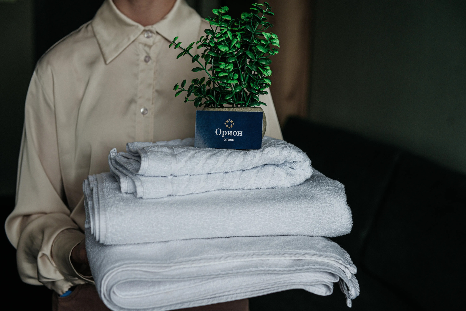 Отель Орион