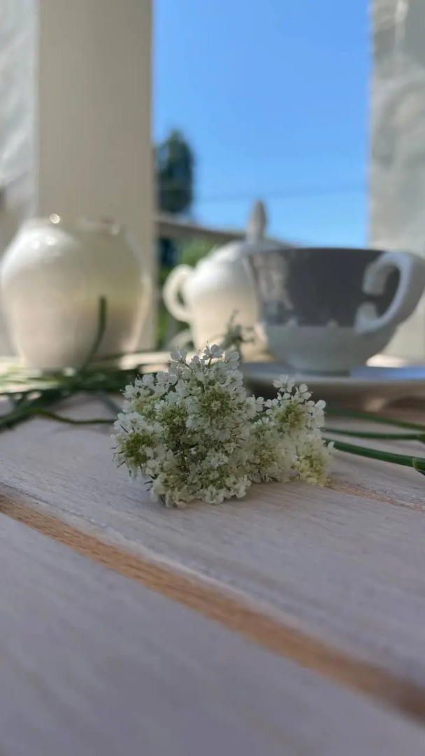 Частный дом Дом в Абхазии