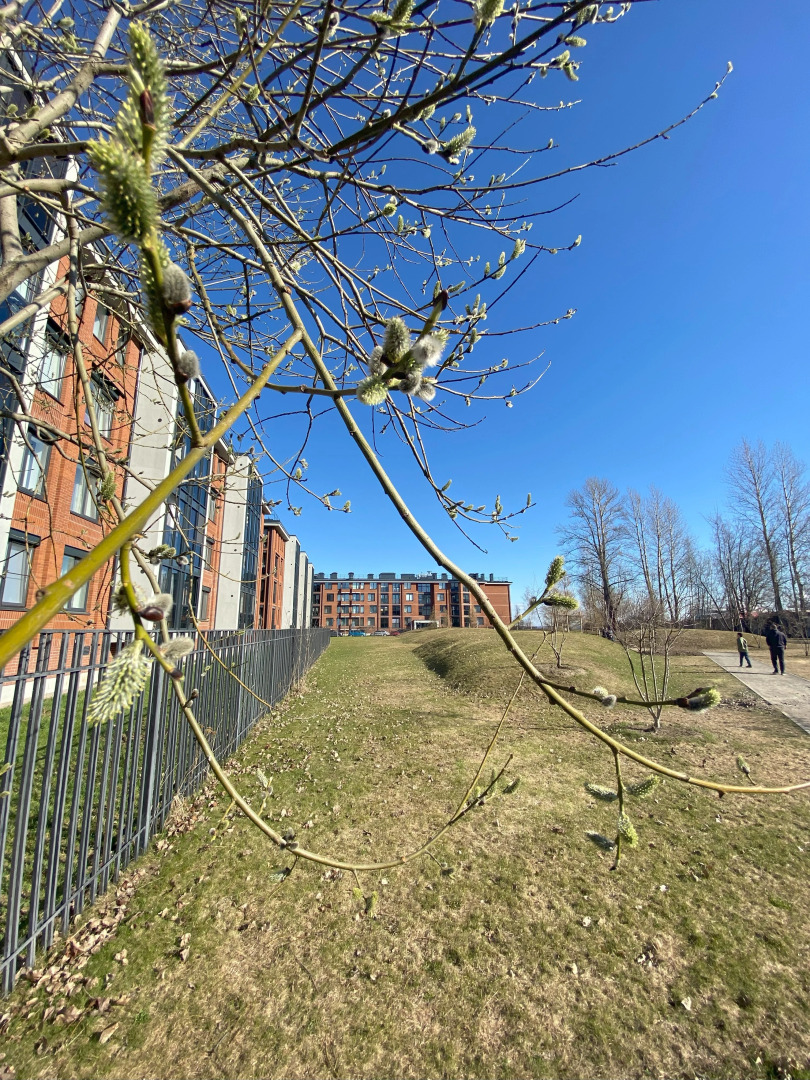 Апартаменты в ЖК Фортеция