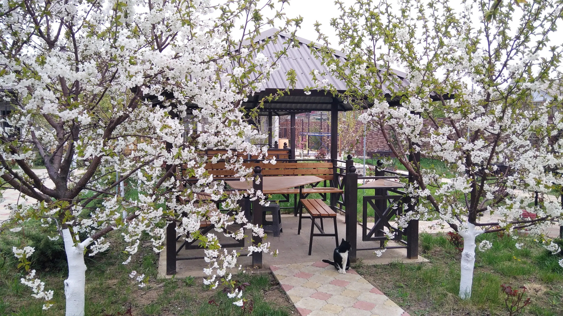 Мини-Отель Добрый Бобр