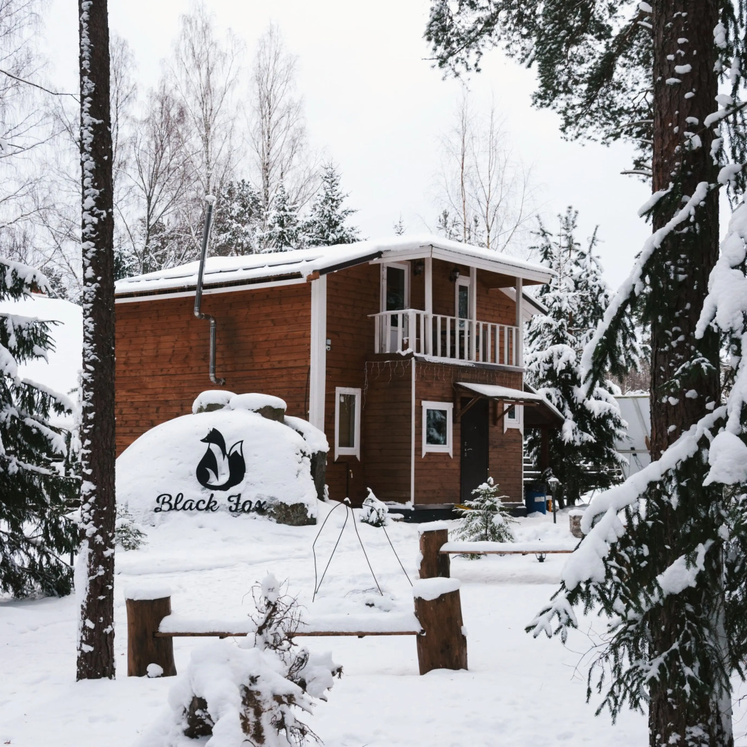 Частный дом BlackFox